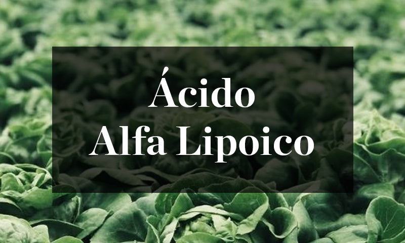 Ácido Alfa Lipoico | Perricone MD