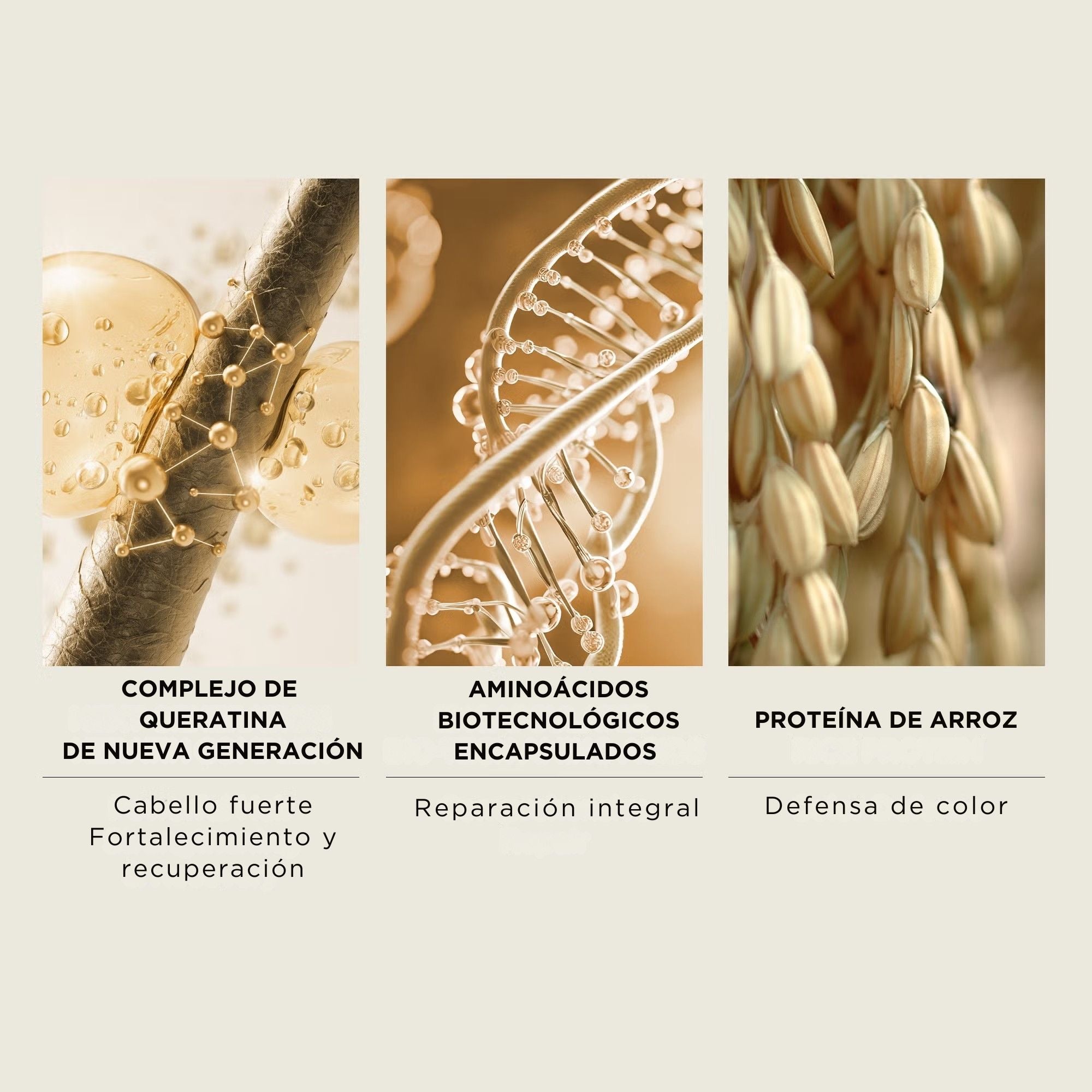 Ingredientes clave de Damage Defense Treatment Spray: complejo de queratina de nueva generación, aminoácidos biotecnológicos encapsulados y proteína de arroz para proteger y reparar el cabello.