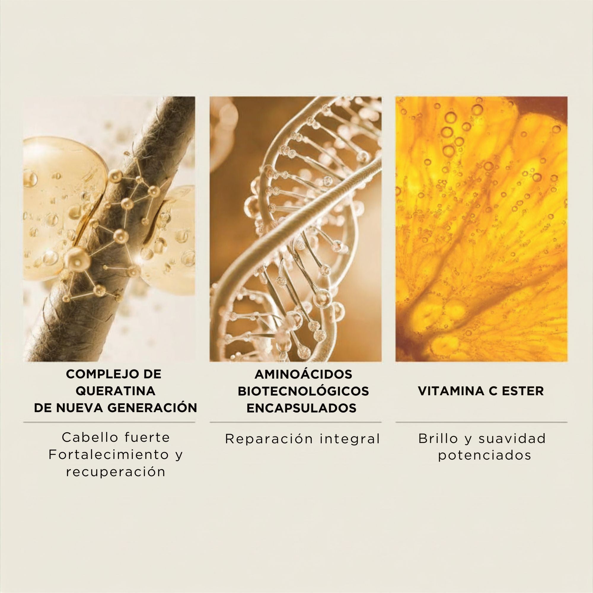 Ingredientes clave de Intensive Repair Mask: complejo de queratina de nueva generación, aminoácidos biotecnológicos encapsulados y vitamina C Ester para reparar y fortalecer el cabello.