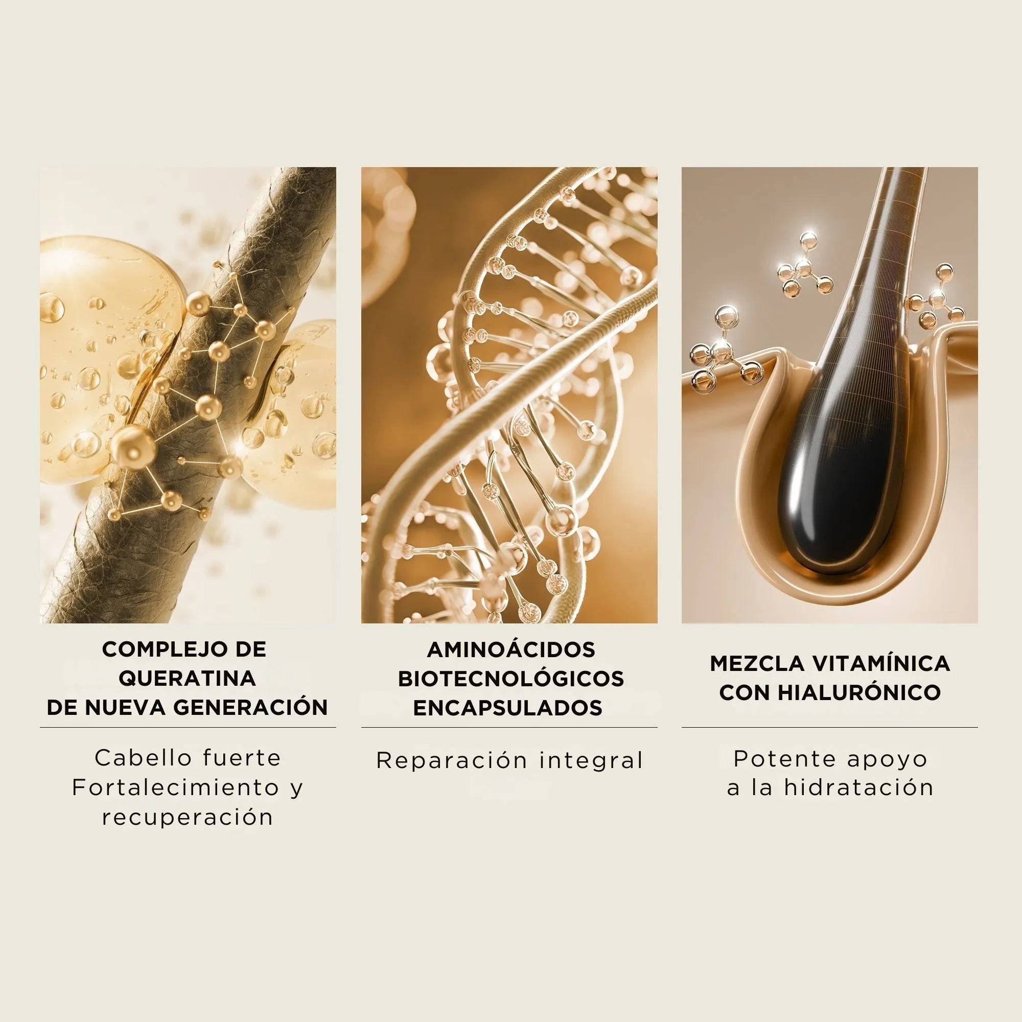 Perricone MD Hair Science, línea de cuidado capilar avanzada inspirada en la ciencia del cabello.