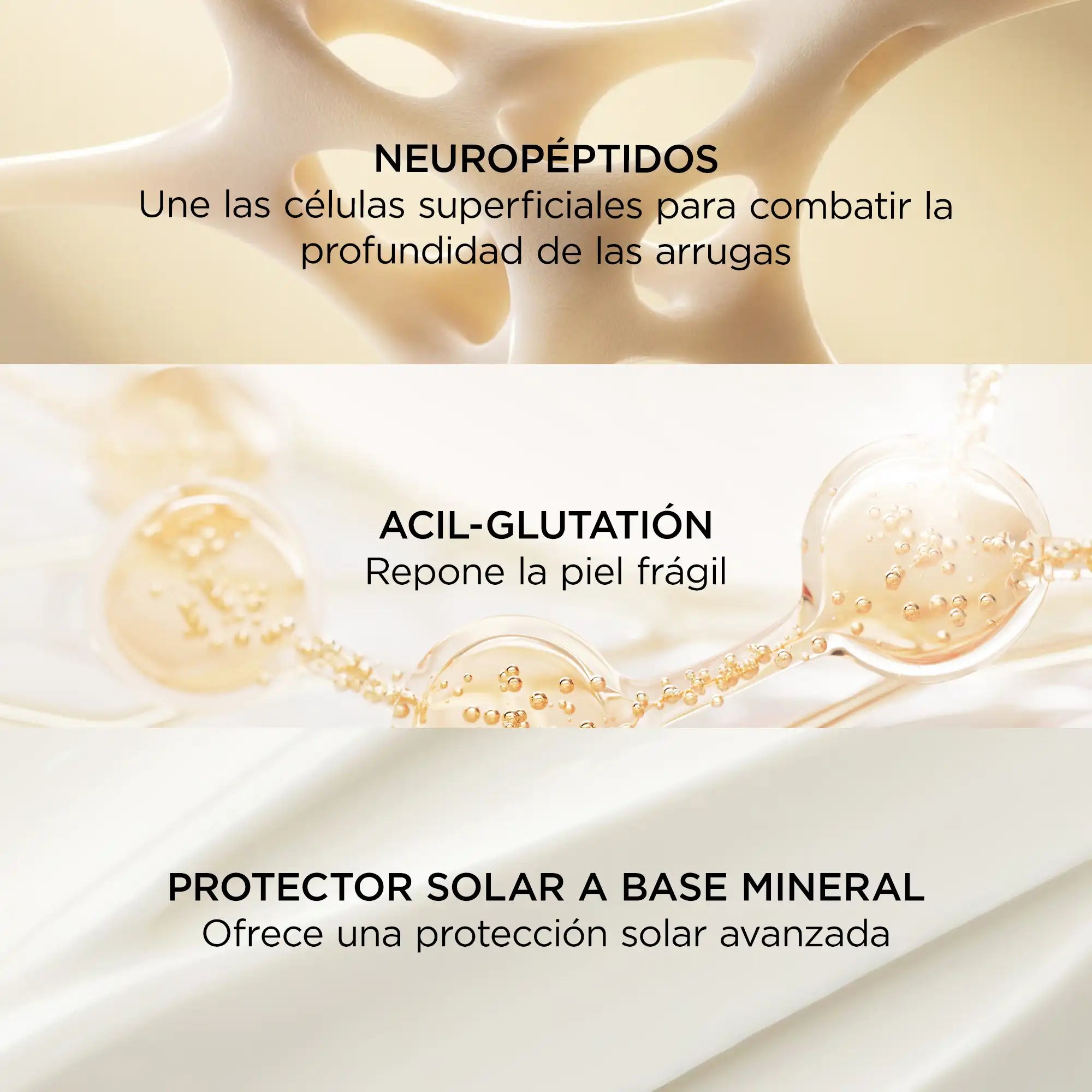 Ingredientes clave del Neuropeptide Rejuvenating Moisturizer SPF 25: neuropéptidos, acyl-glutathione y protección solar mineral.